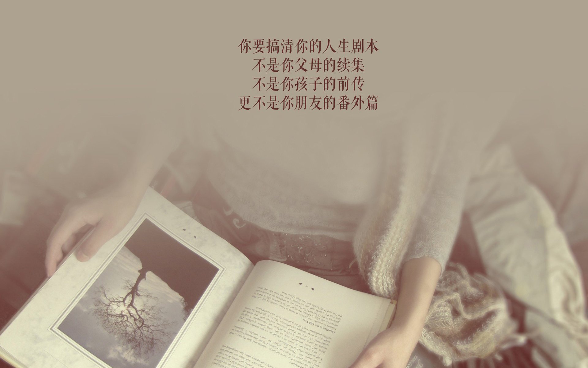 克罗地亚马术协会推出青少年马术培训计划，培养未来骑手。，克罗地亚马克西姆资料