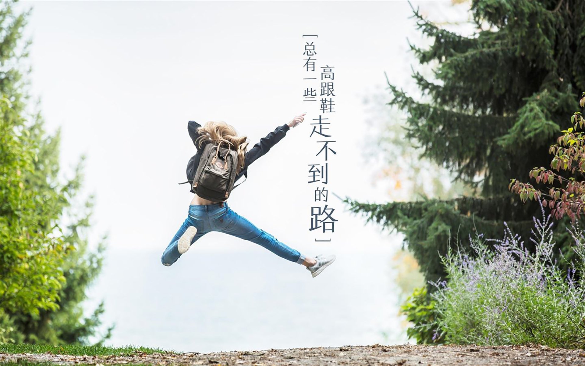克罗地亚马术协会推出马匹健康管理系统，提升马匹福利。，克罗地亚圣马可教堂