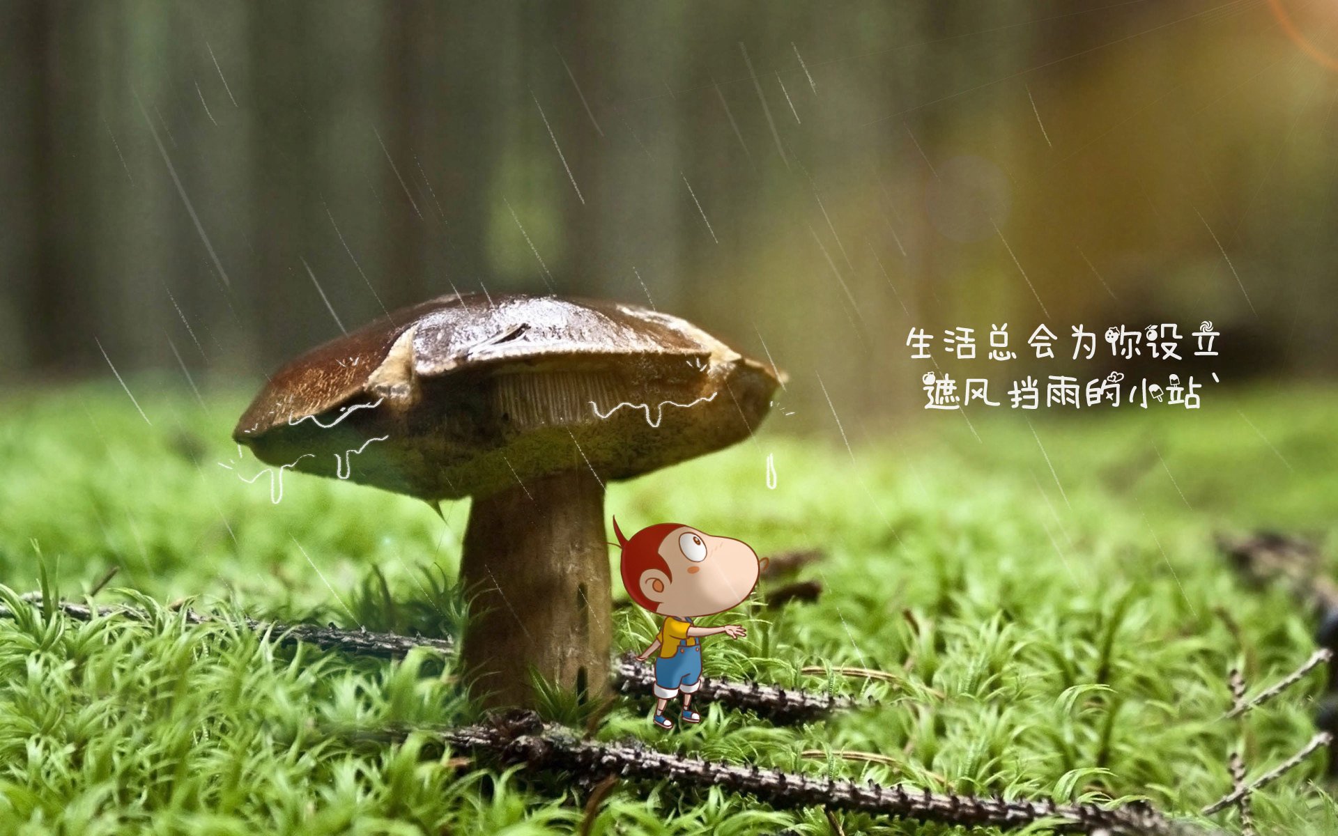 墨尔本联防守强度逐步加强，墨尔本城比赛直播