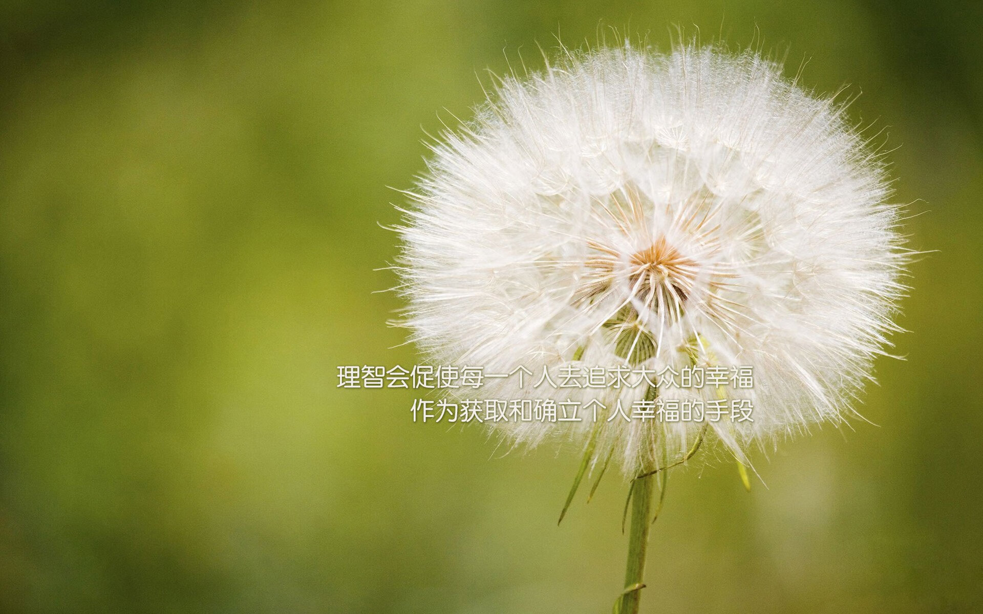 意大利足球俱乐部推出新赛季主场球衣设计，意大利足球俱乐部推出新赛季主场球衣设计图