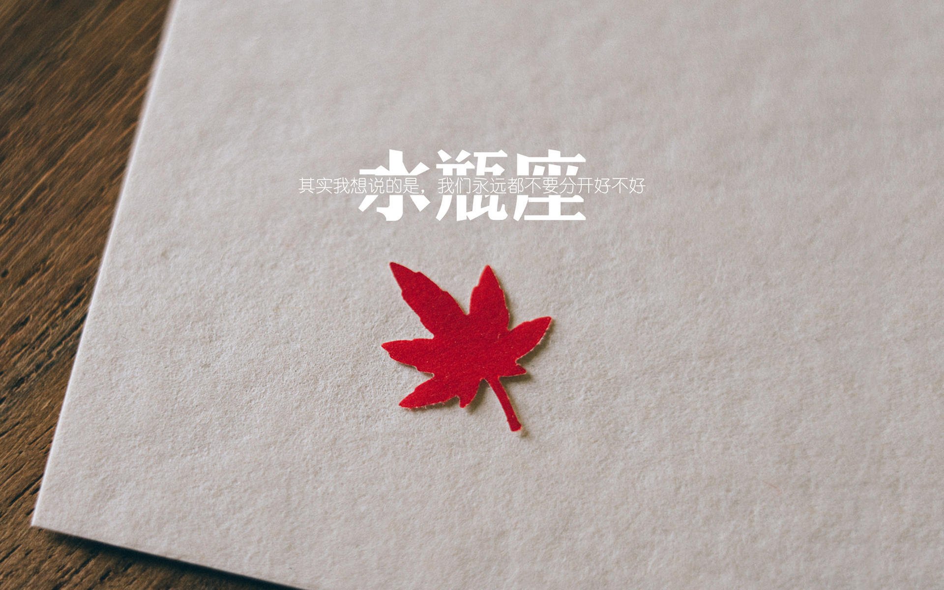 瑞士马术协会授予皮乌斯·施维泽“年度最佳障碍赛骑手”称号。