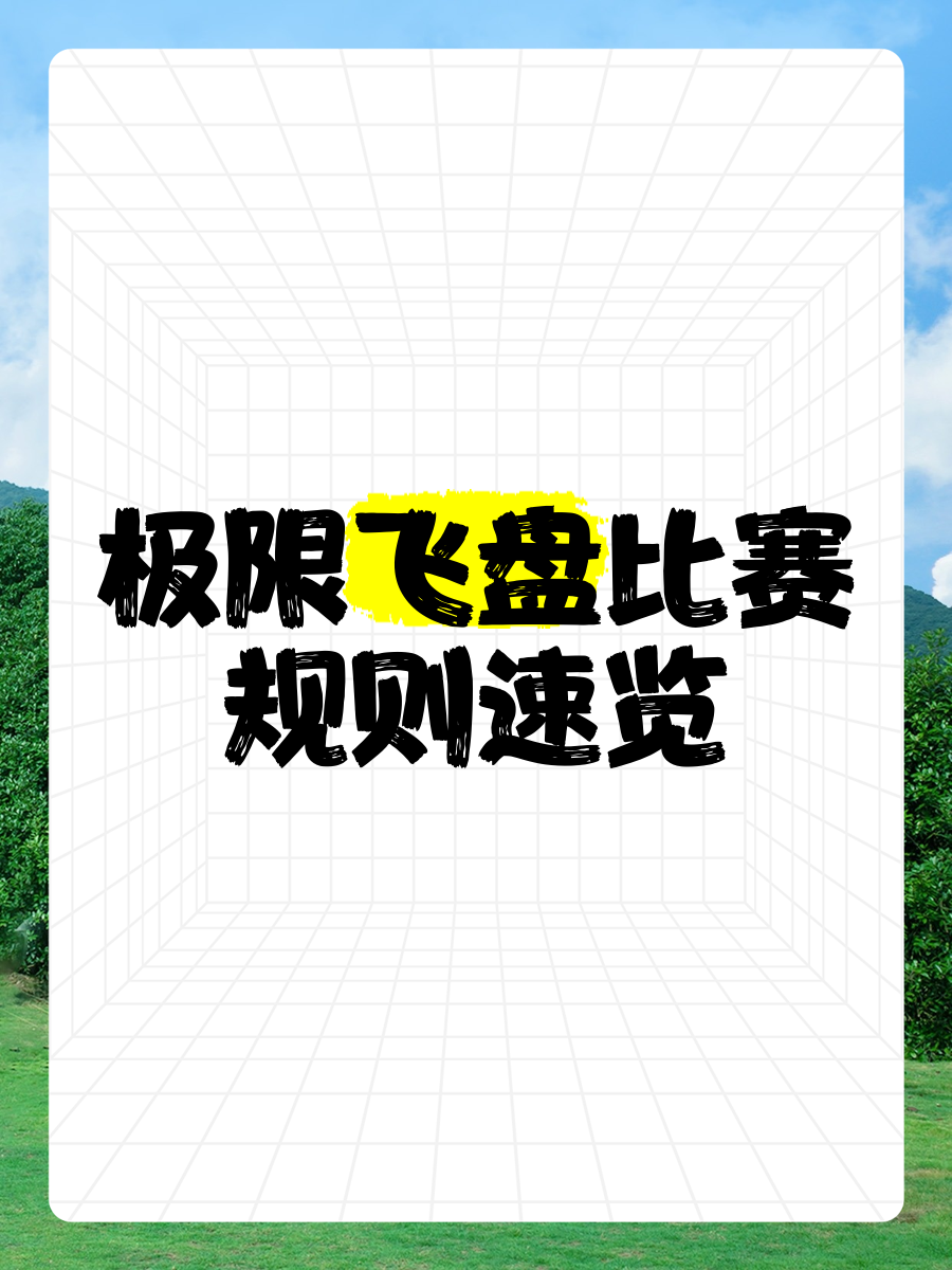 特色极限飞盘赛，舞动天空的速度与技巧的简单介绍