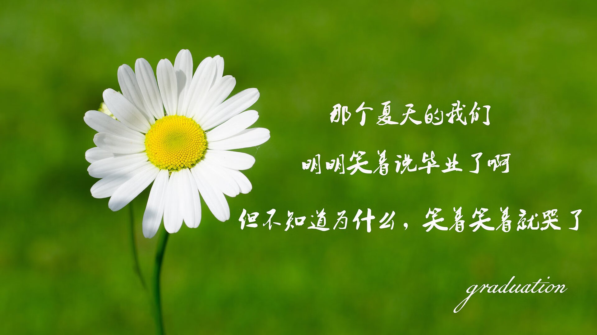 “法甲最后攻坚战：豪门拼抢冠军，悬念不断”，法甲的豪门