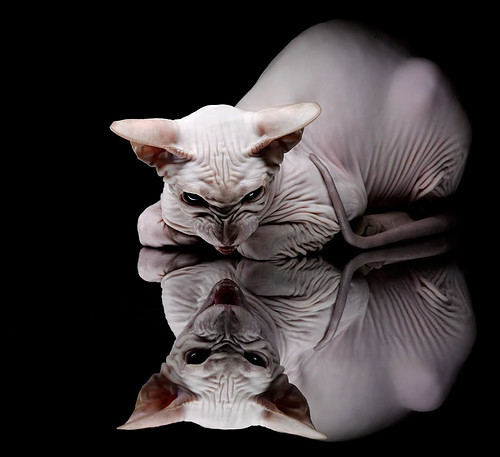 历史对决再度上演昔日恩怨能否在场上得以解决,历史对对碰